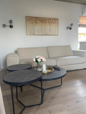 Exceptional spacious apartment in Žaliakalnis